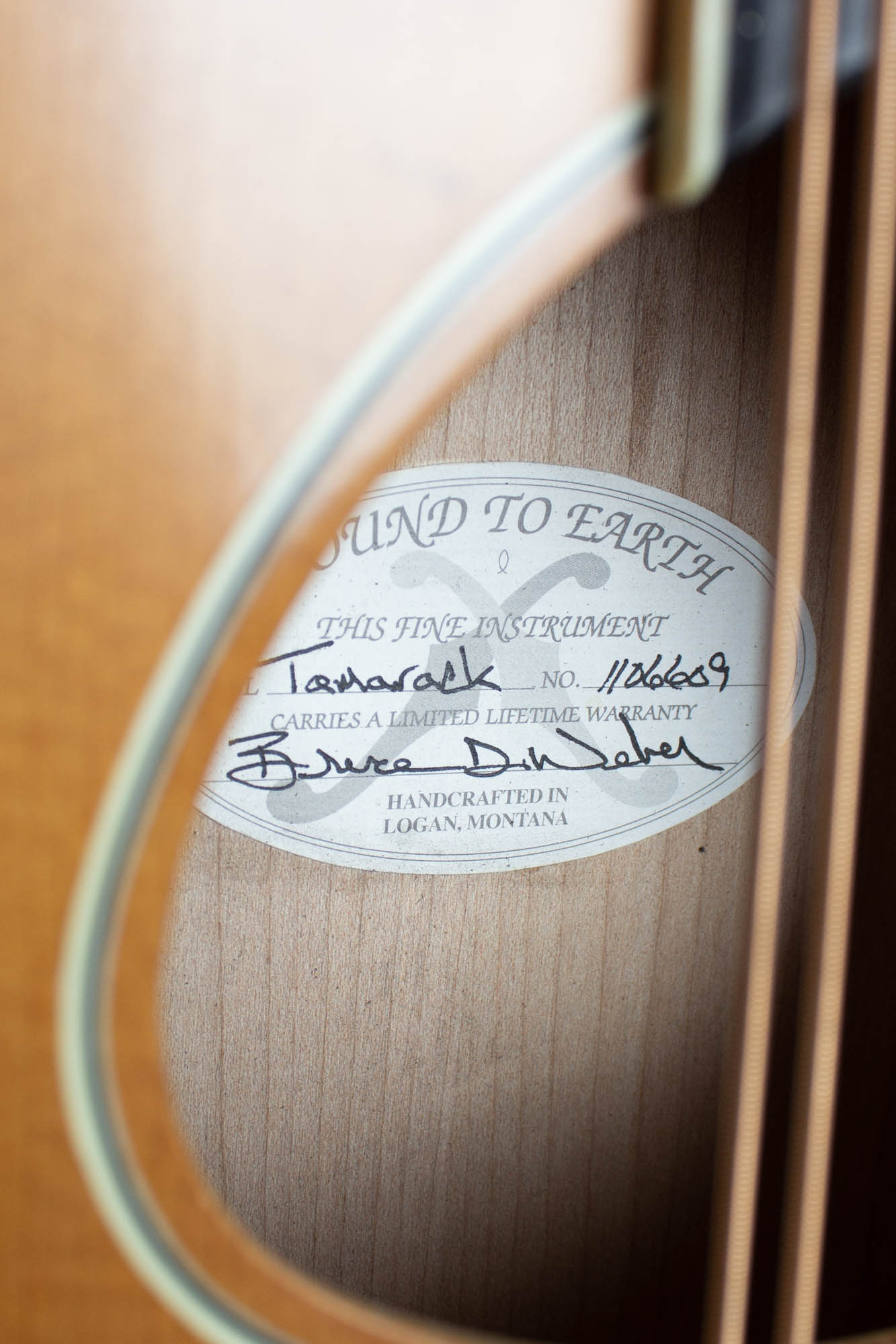 Weber Tamarack Flat Top Mandocello (2011)