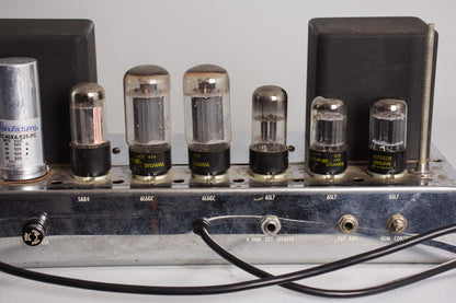 Ampeg B-15N Bass *Local Pickup Only* Tube Amplifier (1965)