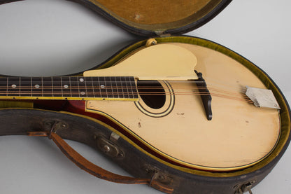 Gibson Model A-3 Carved Top Mandolin (1919)