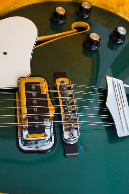 Fender Coronado XII Thinline Hollow Body Electric Guitar (1967)