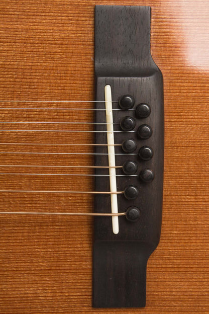 Circle Strings A-1 10 String Acoustic Flat Top Guitar (2018)