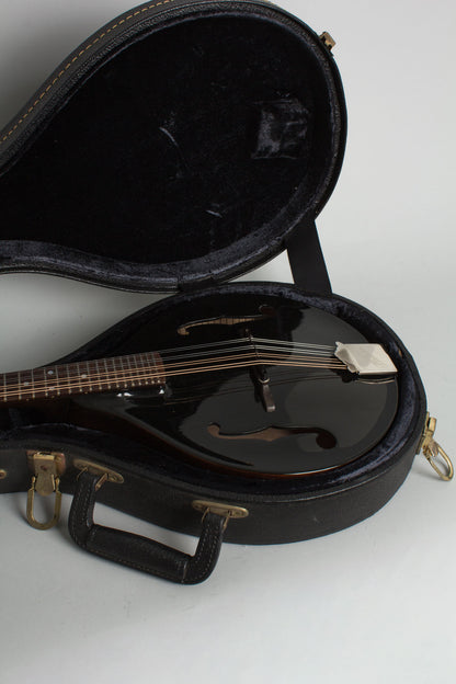 Flatiron Festival A Carved Top Mandolin (1993)