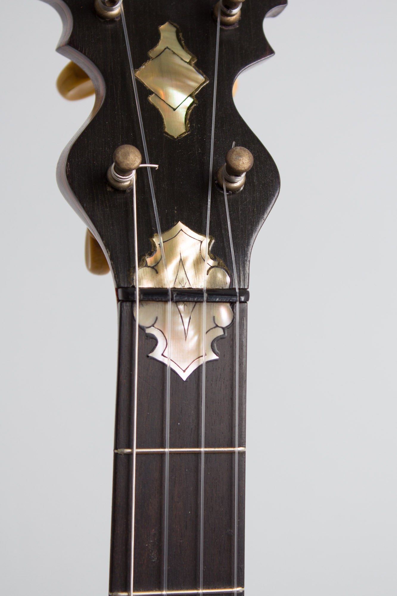 Unbranded 5 String Banjo (1895)