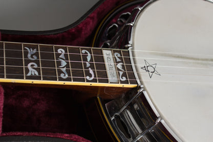 Monteleone Mastertone-style Neck on Alvarez Pot 5 String Resonator Banjo (1970/1973)