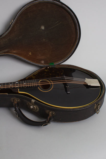 Gibson Style A-1 Snakehead Carved Top Mandolin (1923)
