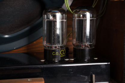 Supro 1615T Tube Amplifier (1958)