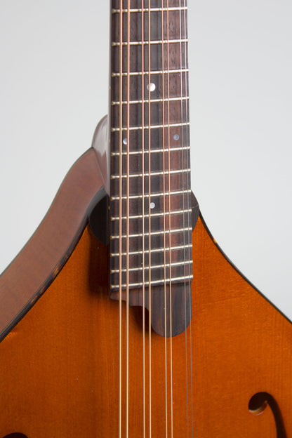 Northfield NFM-M4 Carved Top Mandola (2023)