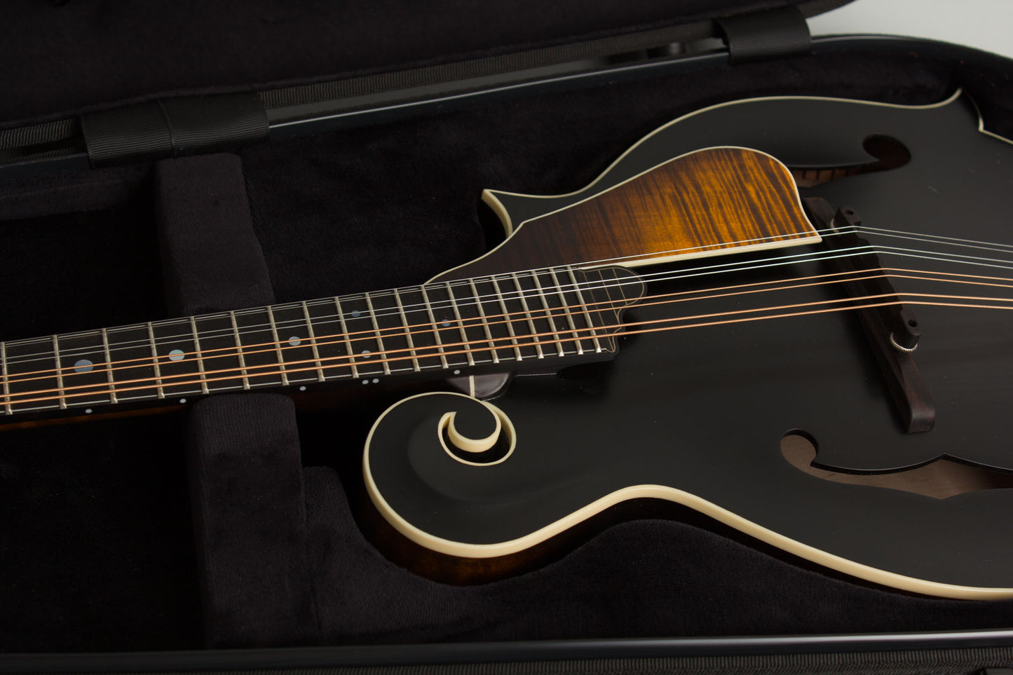 Northfield NFS-F5 Carved Top Mandolin (2026)