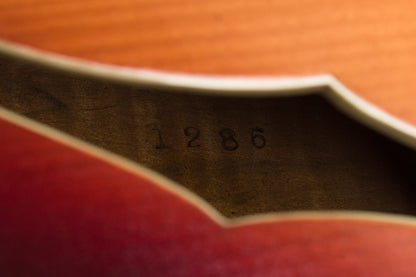 D'Angelico Style B Arch Top Acoustic Guitar (1937)