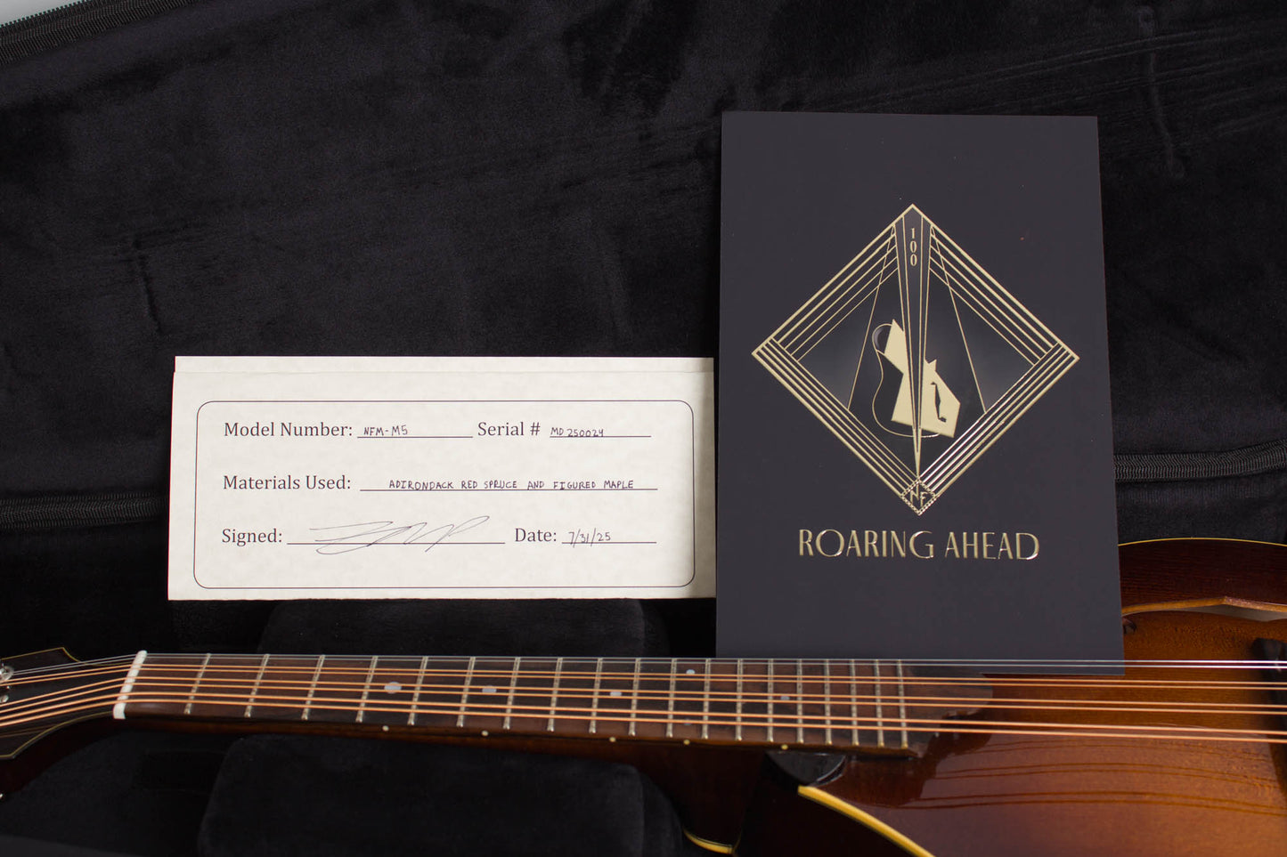Northfield NFM-M5 Carved Top Mandola (2025)