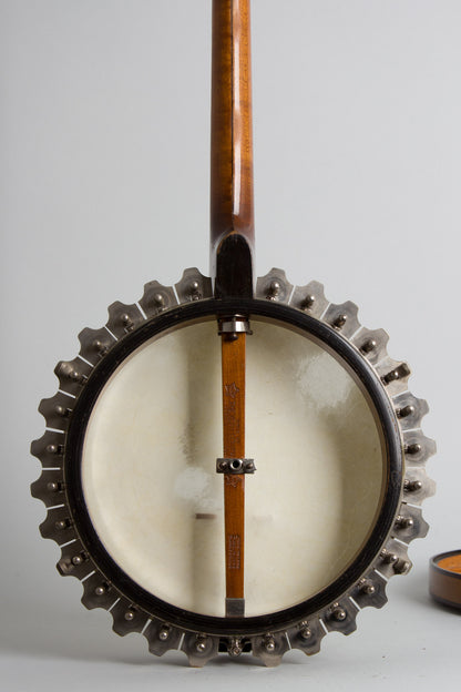 Vegaphone Professional Tenor Banjo (1927)