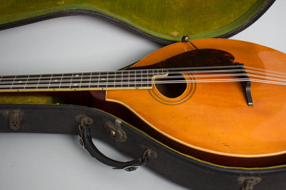 Gibson K-1 Carved Top Mandocello (1918)