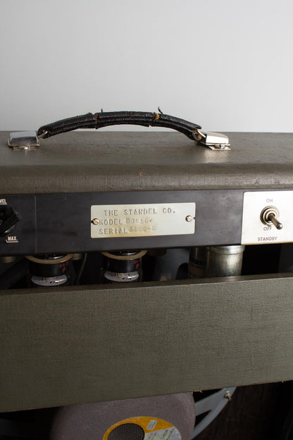 Standel Custom Model 80 L-15-V Tube Amplifier (1960)