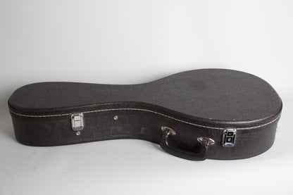 Gibson H-2 Carved Top Mandola (1912)