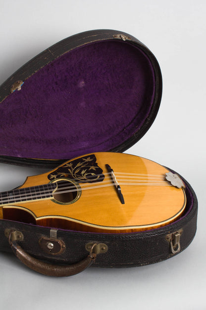 Vega Cylinder Back Model 205 Mandolin (1917)
