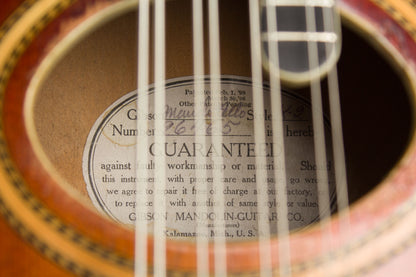 Gibson K-2 Carved Top Mandocello (1914)