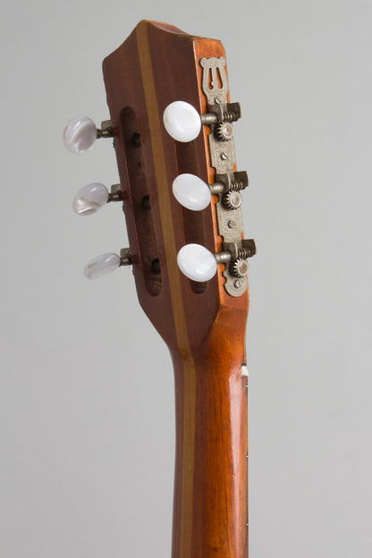 Del Vecchio Dinamico Electric Resophonic Guitar (1970)