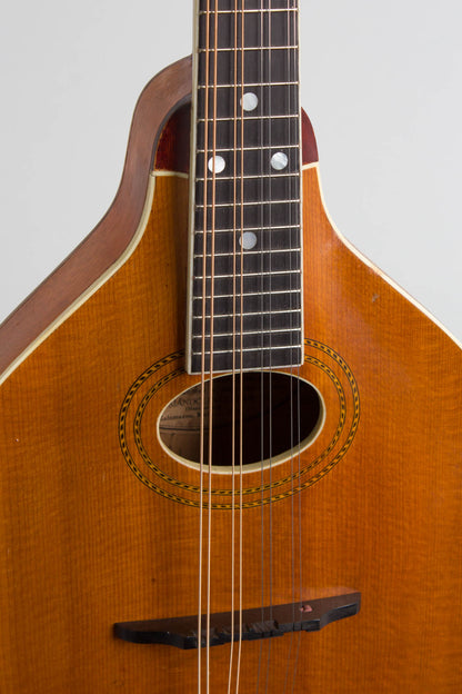Gibson Style A-1 Carved Top Mandolin (1916)