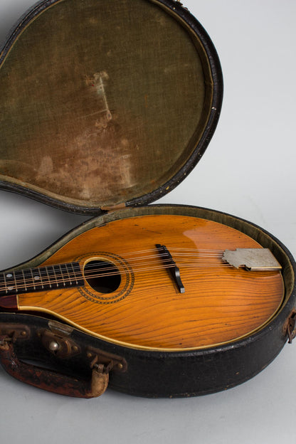 Gibson Style A-1 Carved Top Mandolin (1910)
