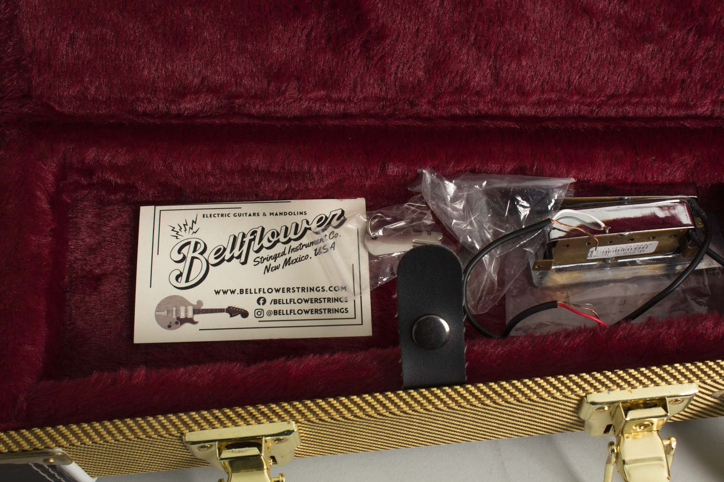 Bellflower 5 String Hollow Body Electric Mandolin (2025)