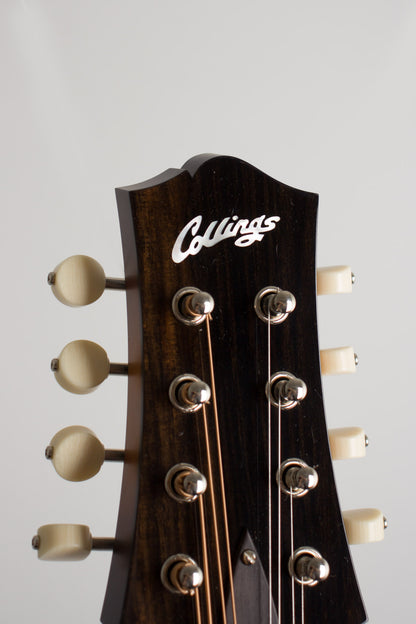 Collings MT Carved Top Mandolin (2018)