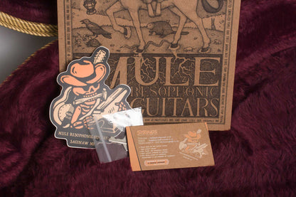 Mule Guitars Tricone Electric Made for Jeff Tweedy of Wilco Resophonic Guitar