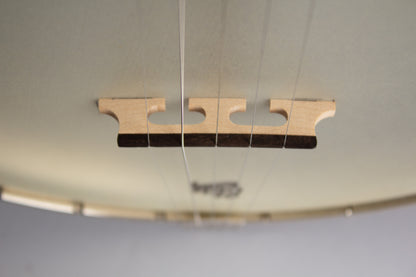Bart Reiter Dobaphone 5 String Banjo (2020)
