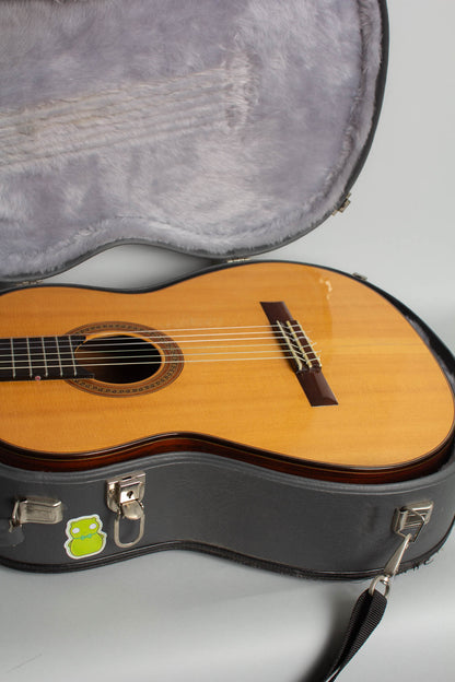 Kolya Panhuyzen Classical Guitar (1999)
