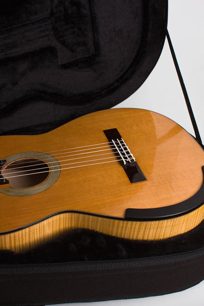 Ross Gutmeier Classical Guitar (2004)