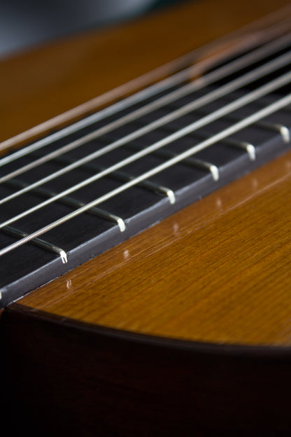 C. F. Martin Style 11 Ditson Concert Flat Top Acoustic Guitar (1917)