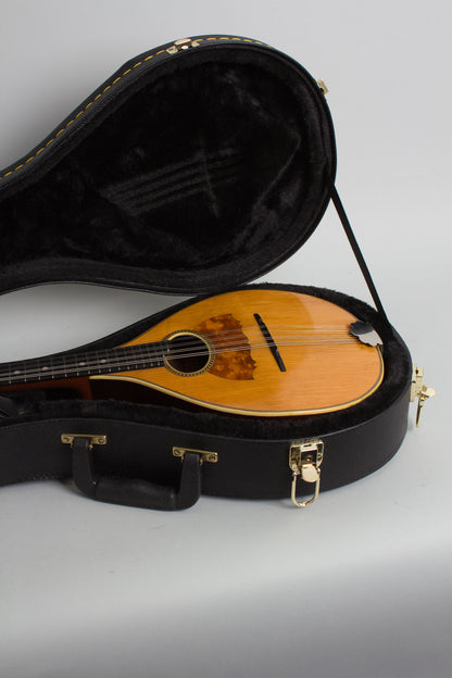 Vega Style 201 Flat Back, Bent Top Mandolin (1916)