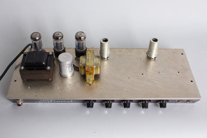 Fender Princeton A-964 Tube Amplifier (1964)