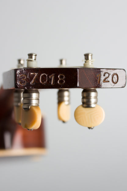 Weymann Style 120 Soprano Ukulele (1925)