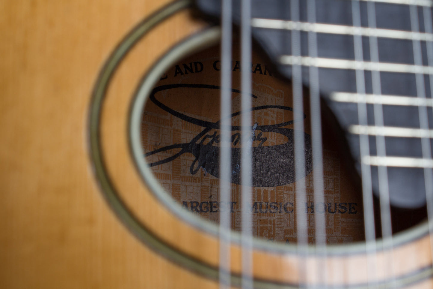 Lyon & Healy Style B Carved Top Mandolin (1919)