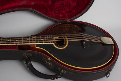 Gibson H-2 Carved Top Mandola (1913)