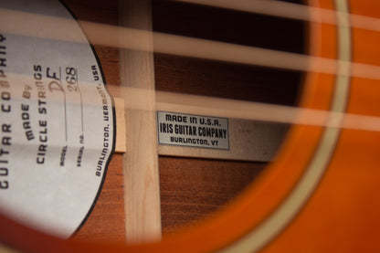Iris DF Flat Top Acoustic Guitar