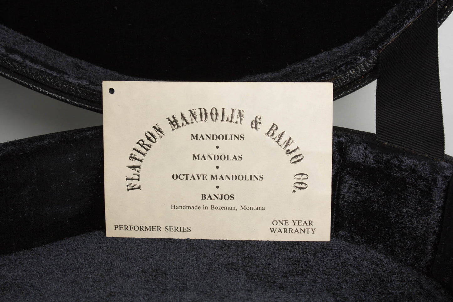 Flatiron Festival A Carved Top Mandolin (1993)