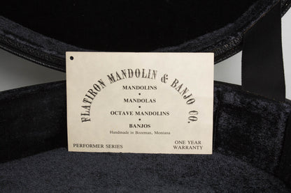 Flatiron Festival A Carved Top Mandolin (1993)