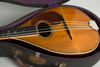 C. F. Martin Style C Flat Back Mandolin (1920)