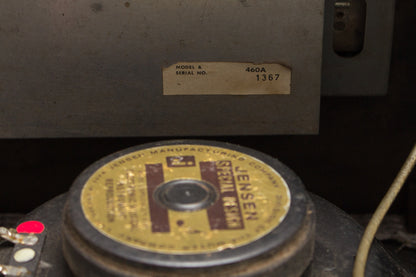Magnatone Da Vinci D-60 Custom previously owned by Steely Dan's Walter Becker Tube Amplifier (1965)