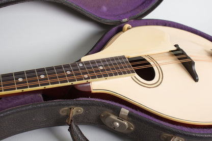 Gibson Model A-3 Carved Top Mandolin (1919)