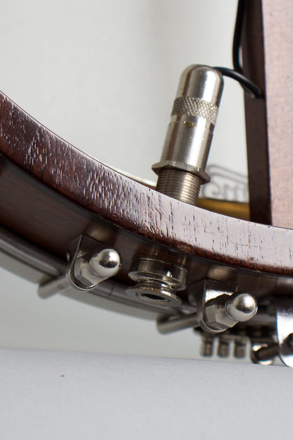 Bart Reiter Dobaphone Custom 5 String Banjo (2014)