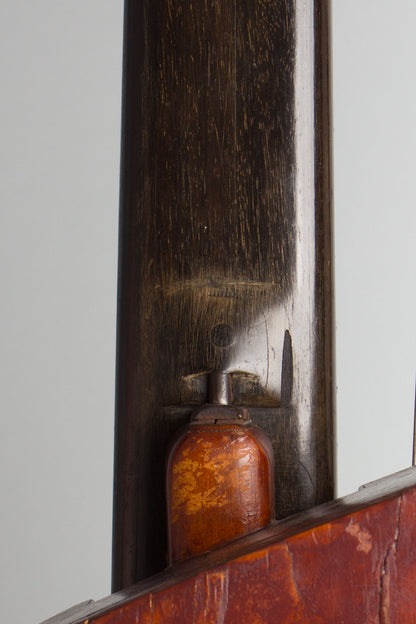 Luigi Mozzani Lyre Harp Guitar (1905)