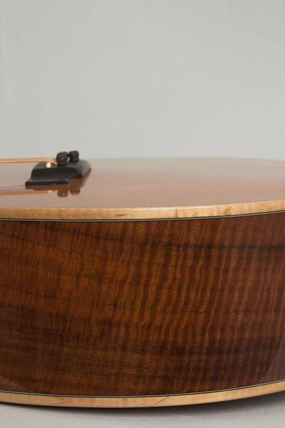 Circle Strings A-1 10 String Acoustic Flat Top Guitar (2018)