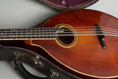 Gibson K-2 Carved Top Mandocello (1914)