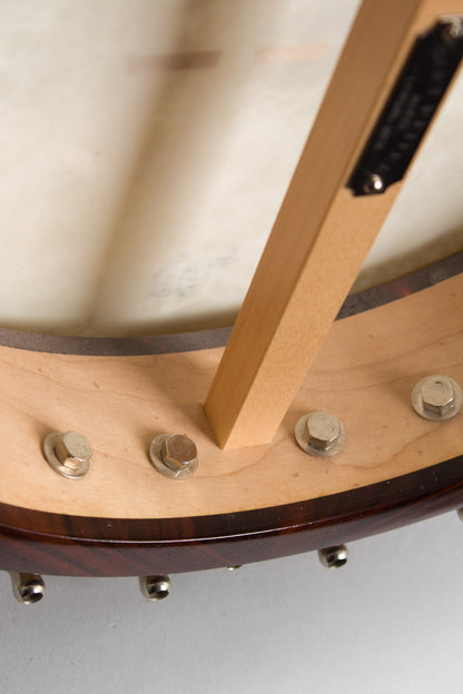 Bart Reiter Special 5 String Banjo (2003)