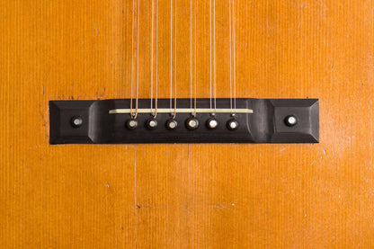 Grunewald 12 String Flat Top Acoustic Guitar (1902)