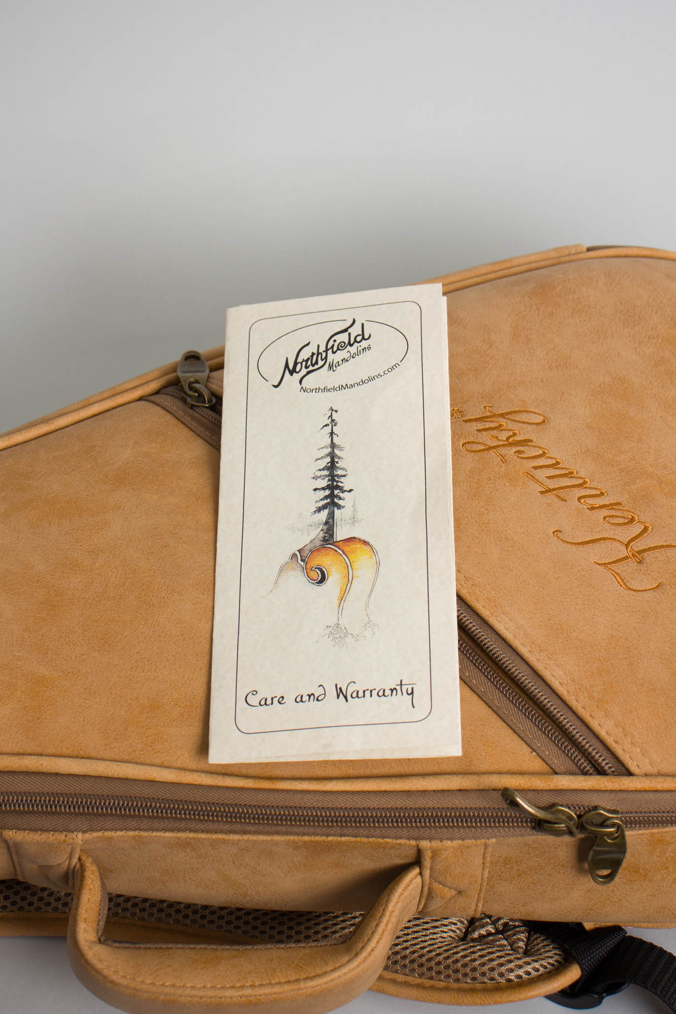 Northfield NF- Big Mon Carved Top Mandolin (2020)