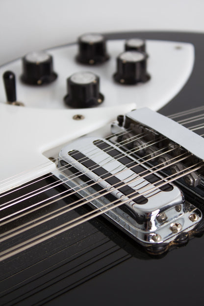 Rickenbacker Model 360/12 Thinline Hollow Body Electric Guitar (1968)