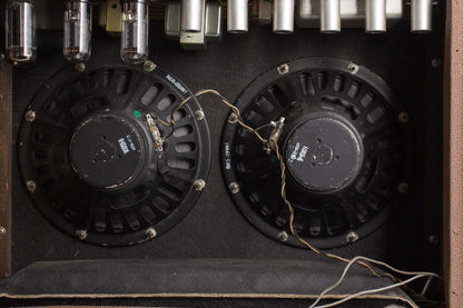 Fender Vibroverb 6G16 Large Combo Tube Amplifier (1963)